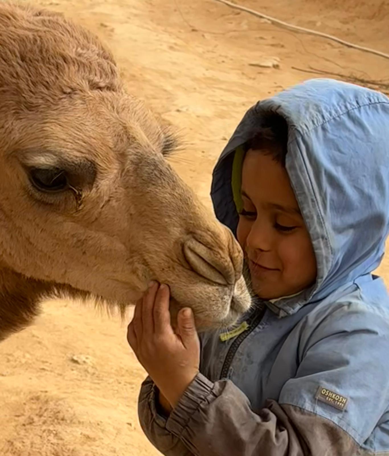 Young boy with camel - traditional Tunisian desert experience